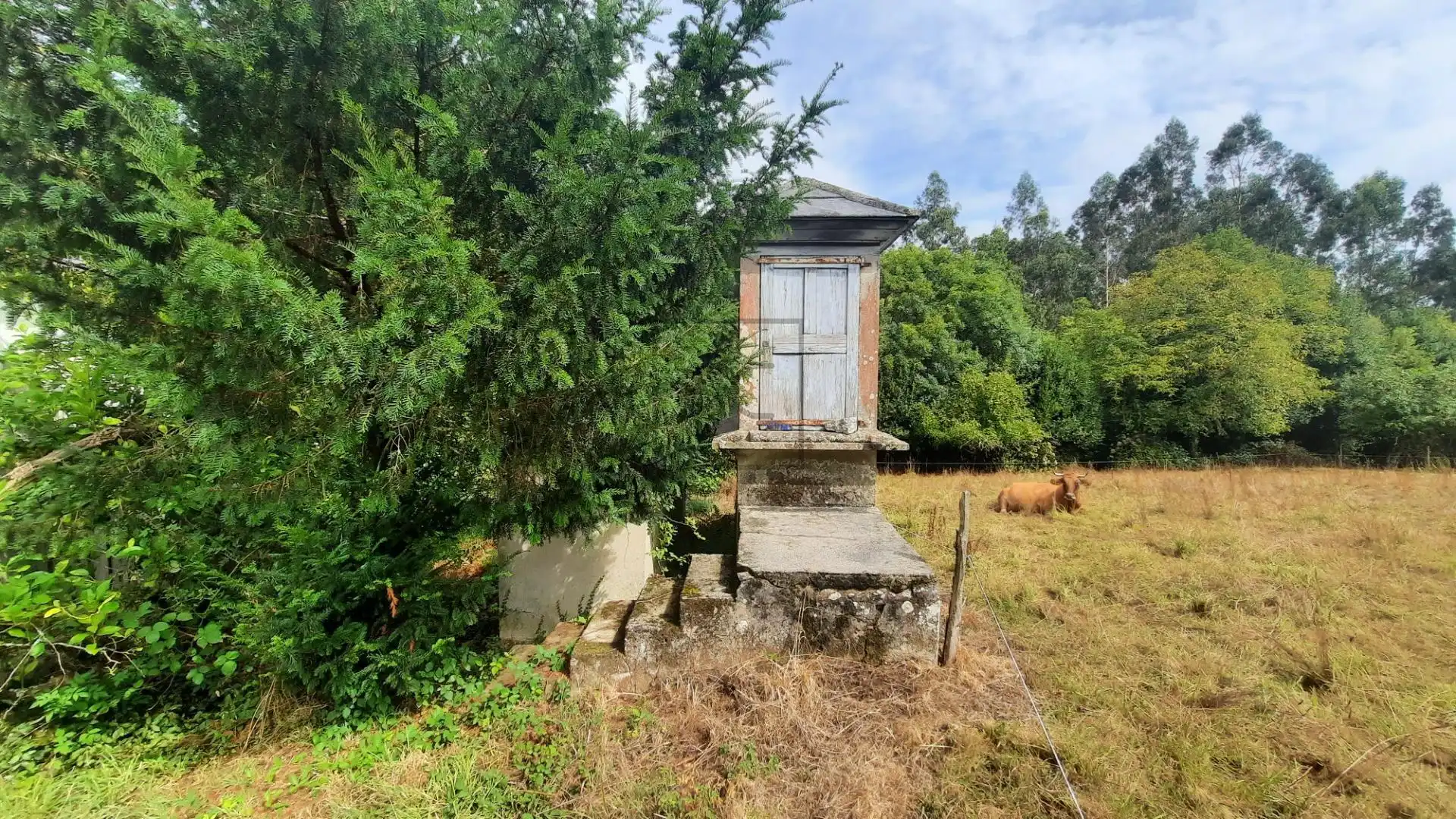 Casa rústica amb jardí en venda a COUCE, imagen 6