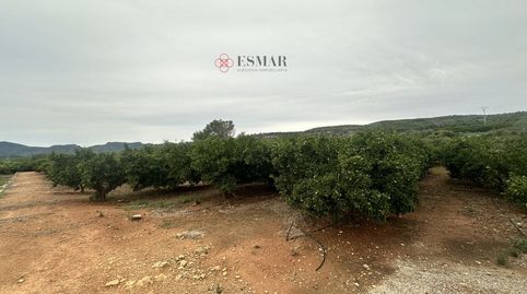 Terreno en venta en Segorbe.