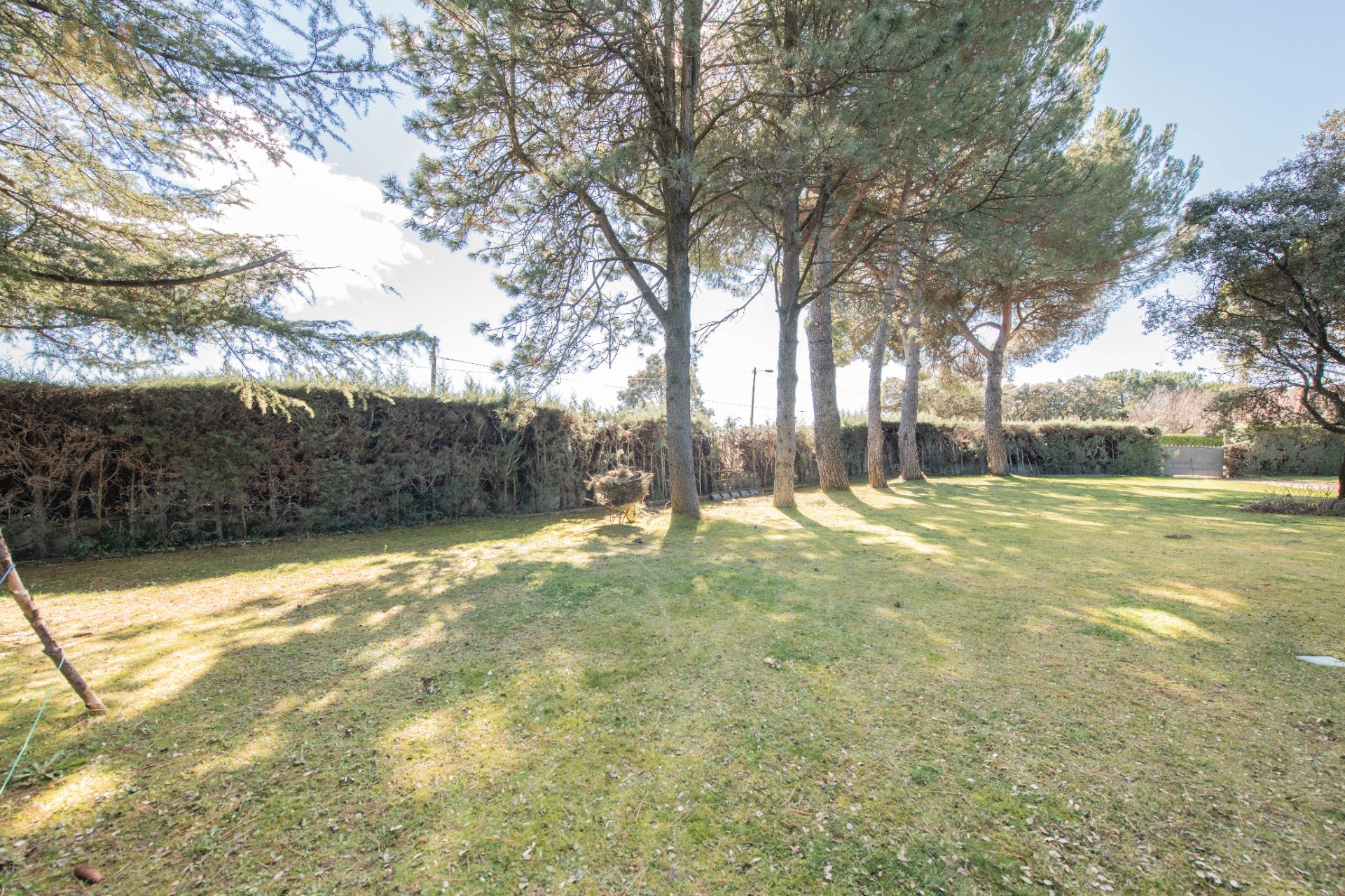 Jardín de Casa o chalet en venta en Galapagar con Calefacción, Jardín privado y Terraza