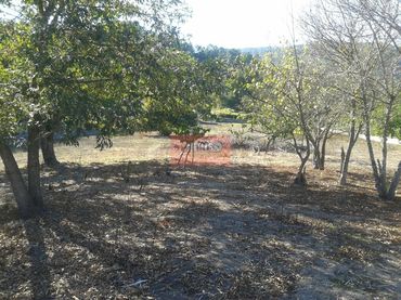 Terreno residenziale in vendita a San Rosendo