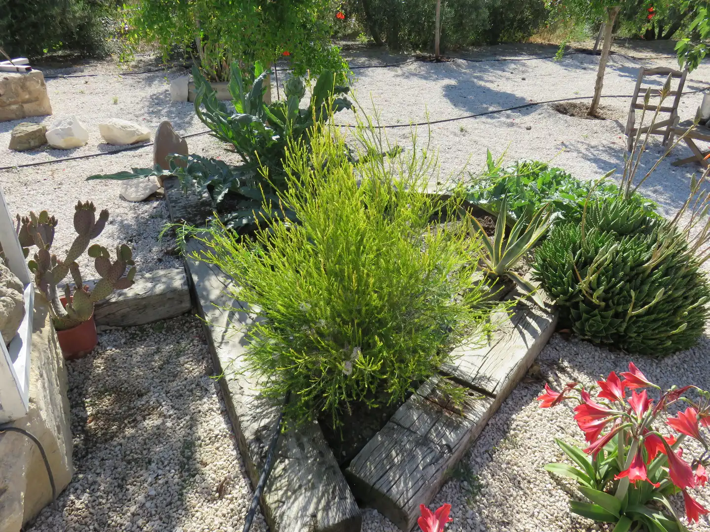 Jardín de Finca rústica en venta en Murcia con Jardín privado, Terraza y Trastero