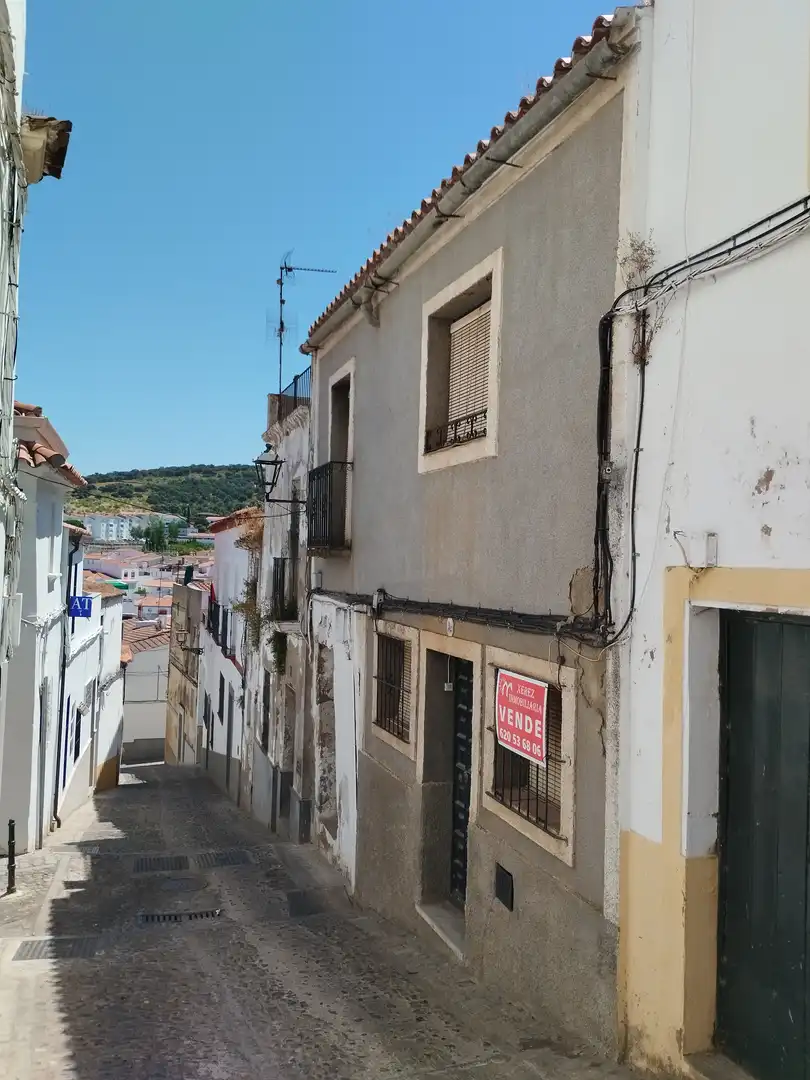 House with terrace for sale in Calle Pepe Ramírez