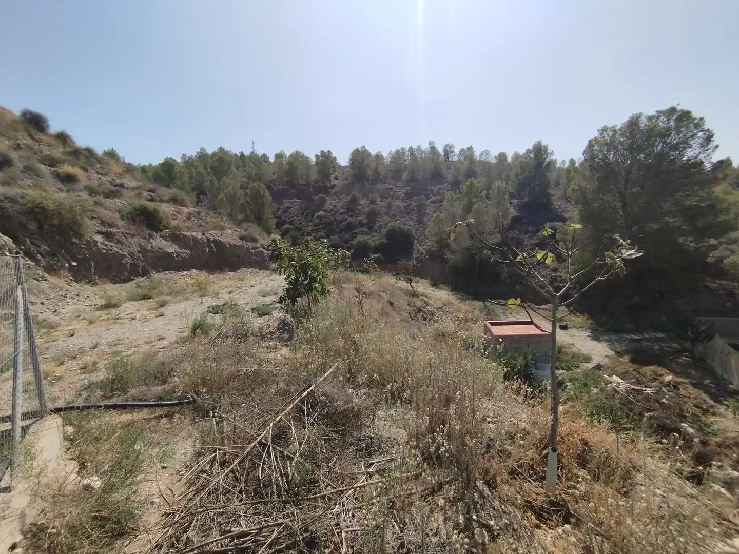 Terreno rustico in vendita a Santa Fe de Mondújar, imagen 13