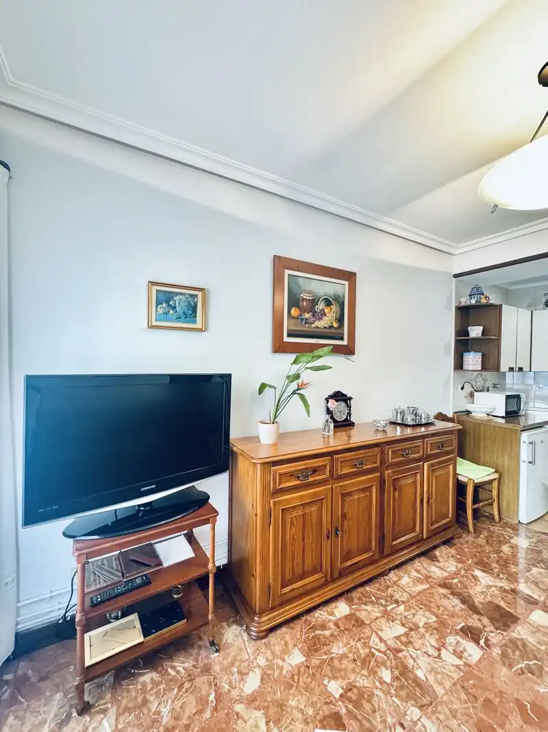 Sala d'estar de Pis en venda en Donostia - San Sebastián  amb Calefacció, Terrassa i Balcó