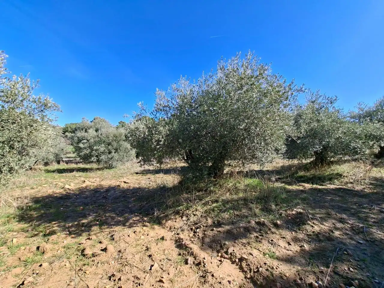 Lands and plots for sale in Calle Río Tajuña 1676, imagen 25