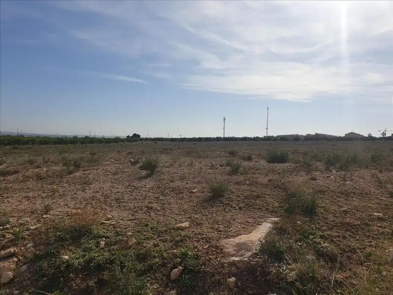 Land for sale in Los Montesinos