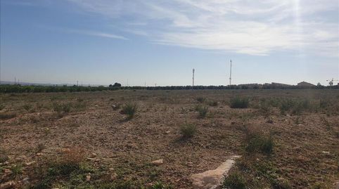 Photo 4 of Land for sale in Lo Meseguer. Los Montesinos, Pol 1, -1, Los Montesinos, Alicante