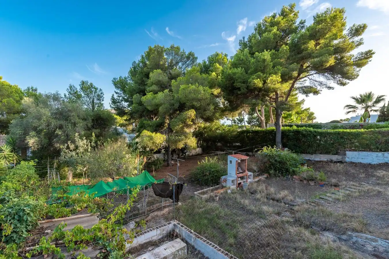 Casa rústica con piscina en venta en Santa Ponça, imagen 19