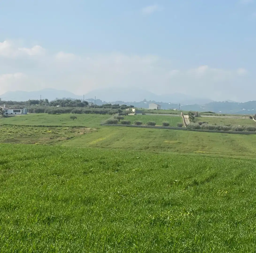Rural land for sale in La Rosa, imagen 3