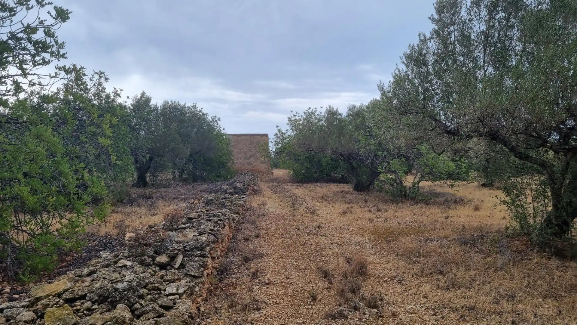 Finca rústica en venta en L'Ametlla de Mar 