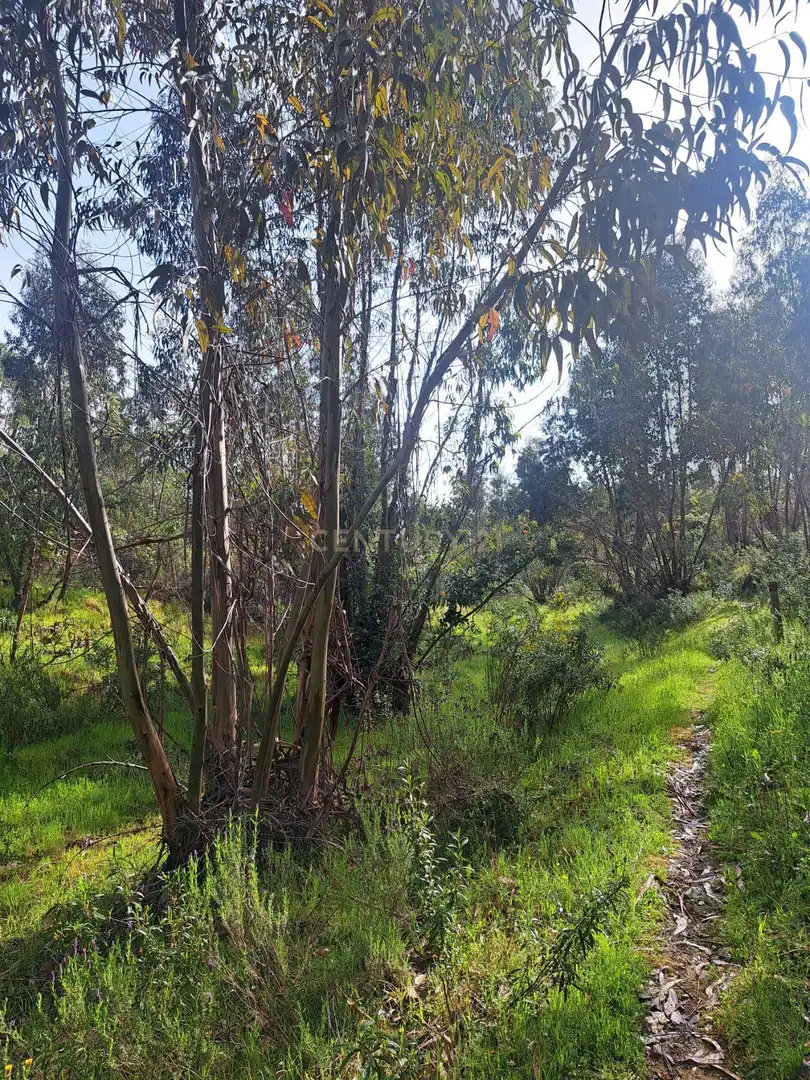 Terreno en venta en Herrera de Alcántara
