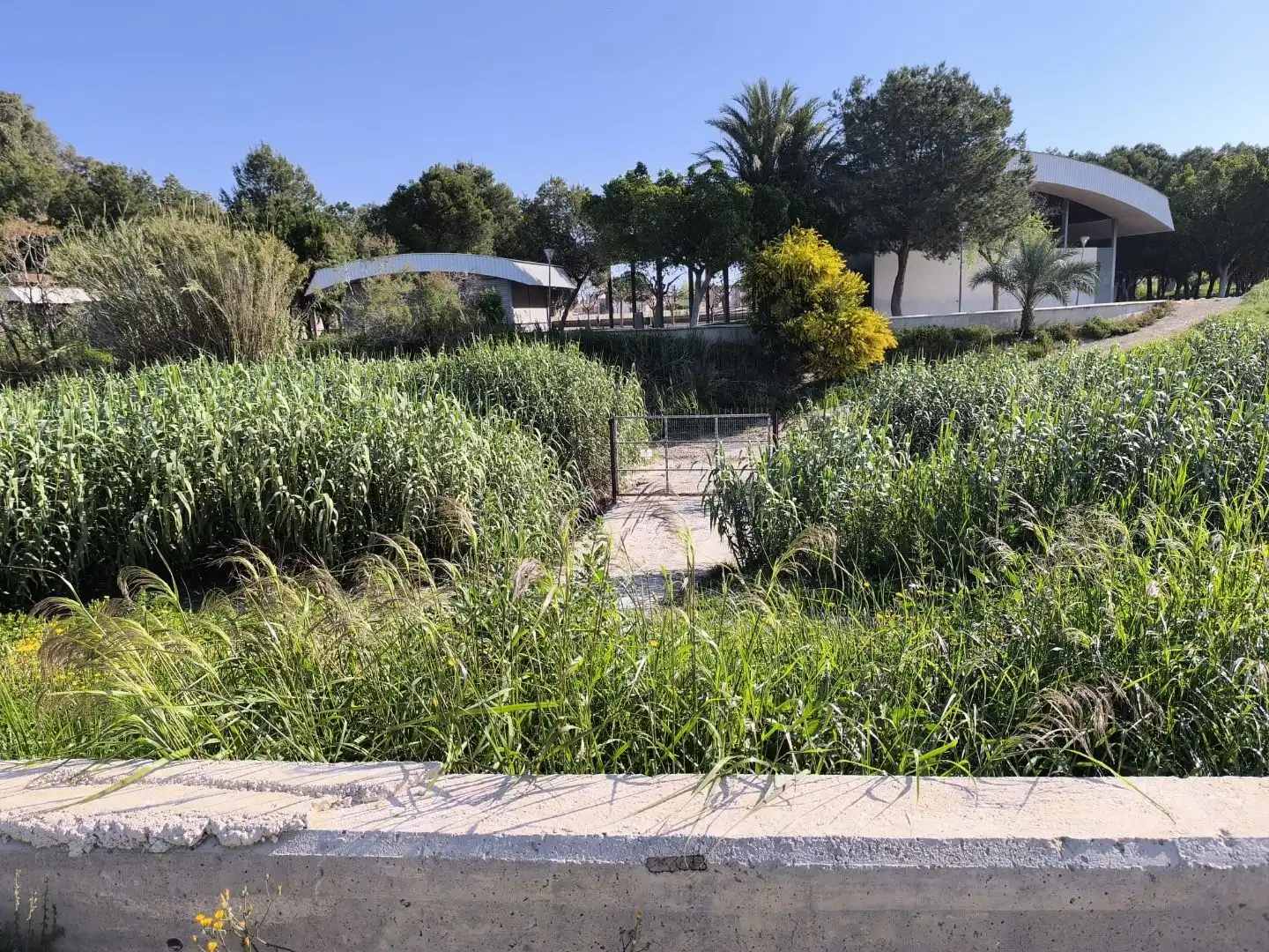 Terreno en venta en Benijófar