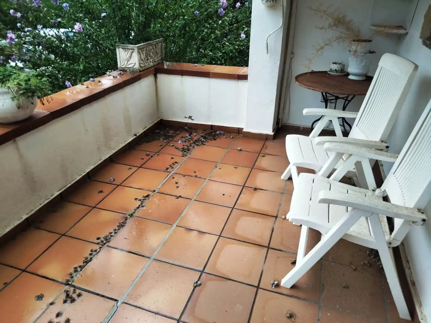 Casa bifamiliare con giardino in vendita a Carrer de la Falúa, imagen 6