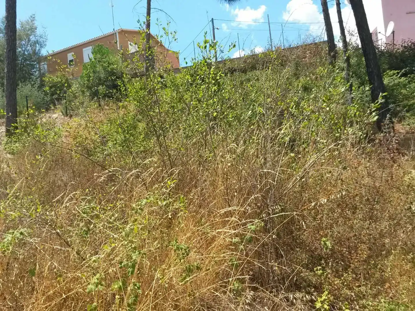 Rural land for sale in C/ Montjuic, imagen 7