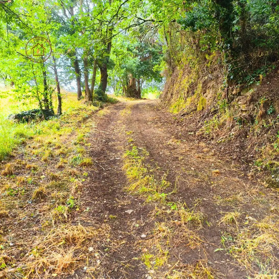 Terreni e lotti in vendita a O Pereiro de Aguiar, imagen 8