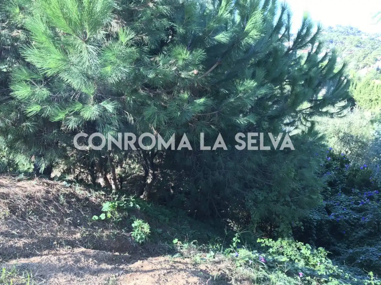Terreny residencial en venda a Lloret Residencial - Montlloret, imagen 4