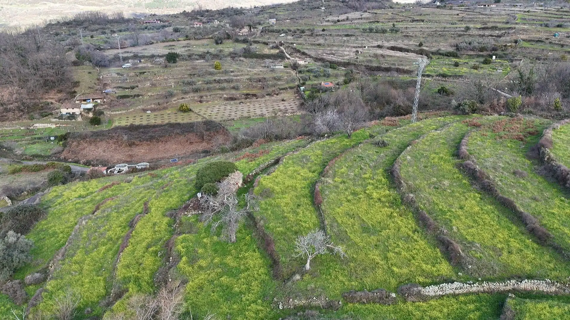 Land for sale in Casas del Castañar