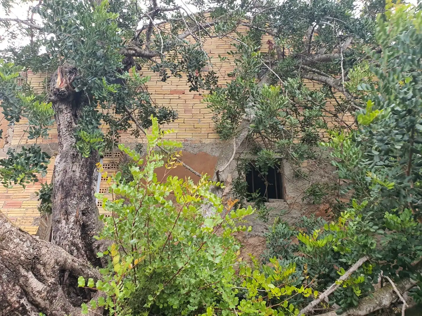 Maison à vendre à Benifallet, imagen 36