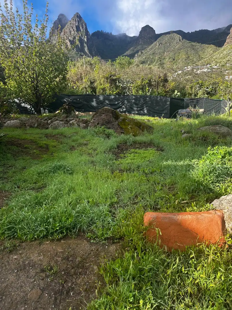 Jardí de Casa o xalet en venda en Valsequillo de Gran Canaria amb Jardí privat, Terrassa i Traster