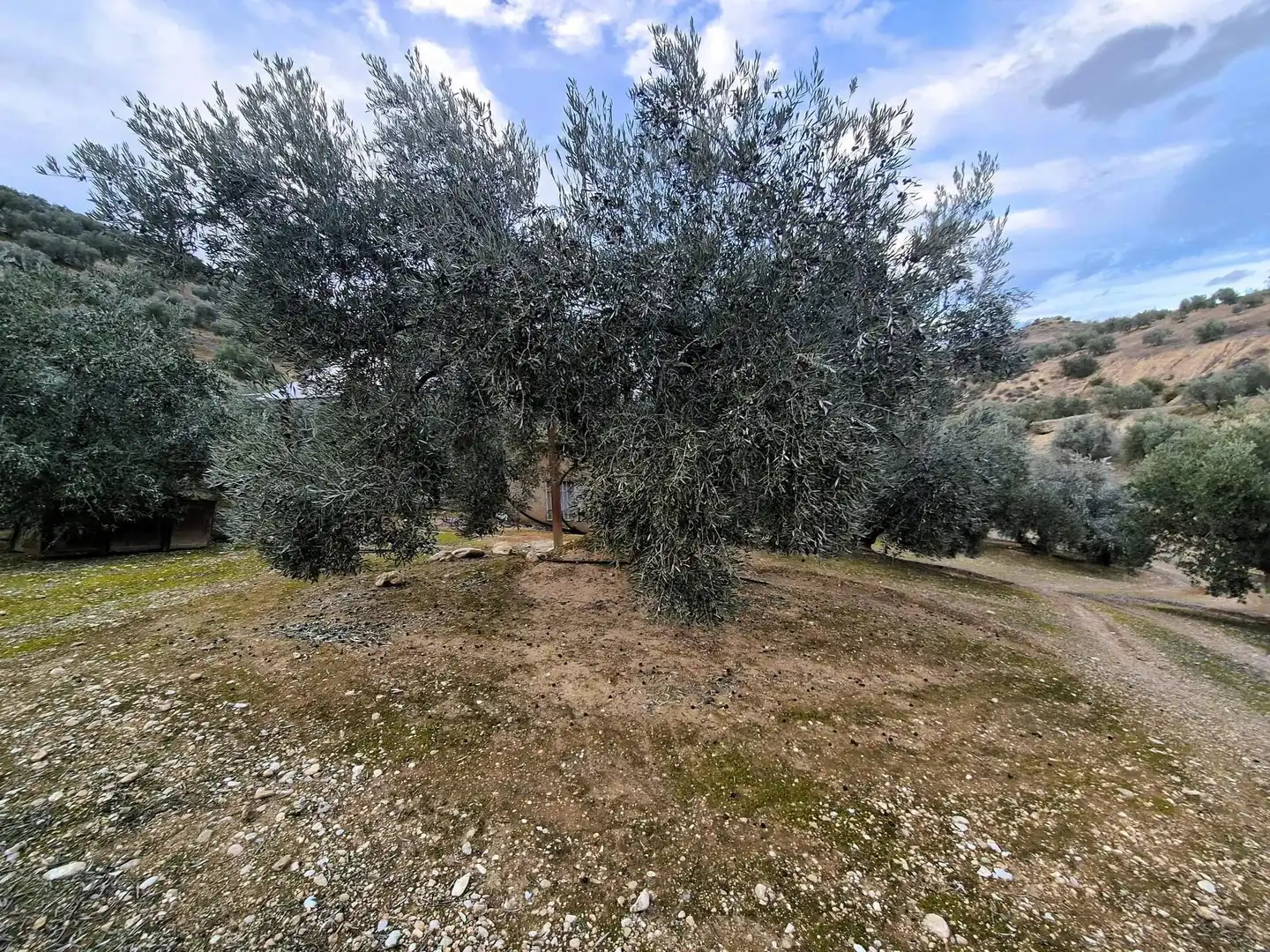 Rural land for sale in Huétor Tájar, imagen 23