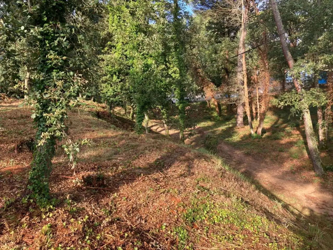 Terreno residencial en venta en Caldes de Malavella, imagen 8