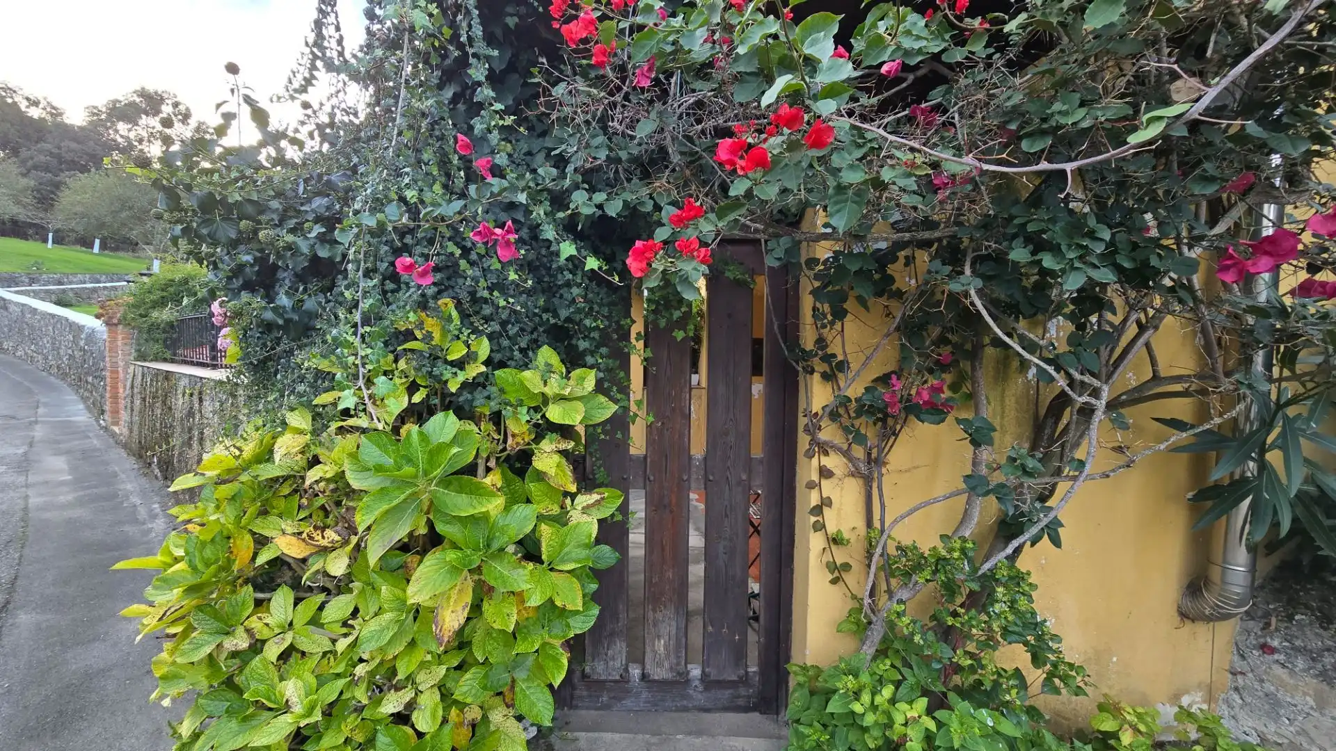 Jardín de Casa o chalet en venta en Llanes con Calefacción y Terraza