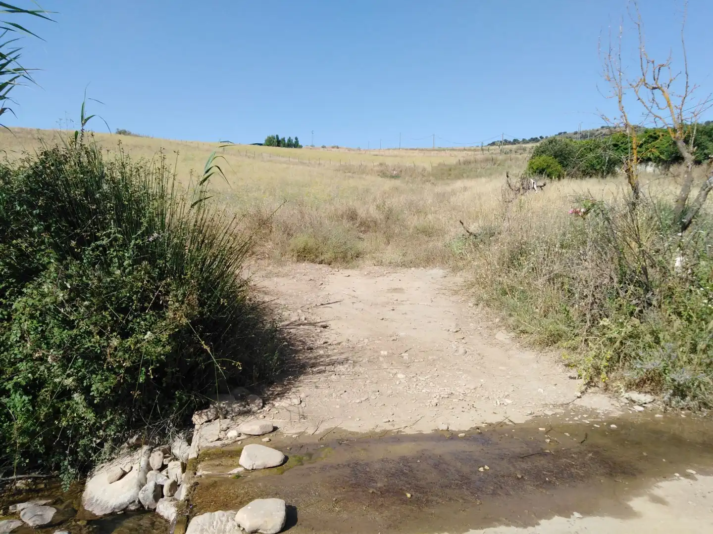 Finca rústica en venda en Ronda