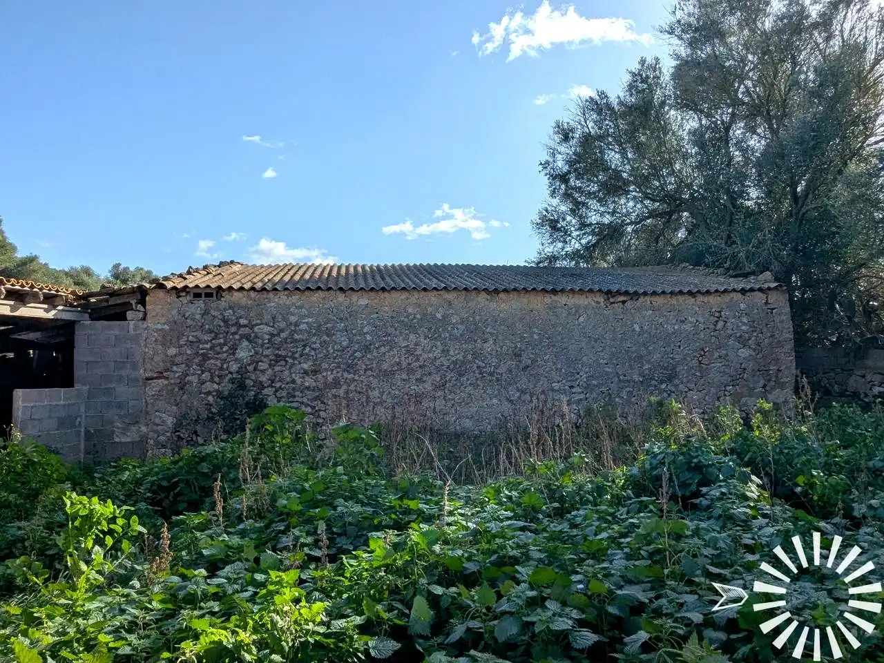 Terrain rustique à vendre à Cami de Son Pau, imagen 43