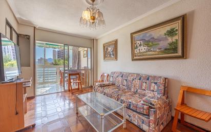 Living room of Apartment for sale in Benidorm  with Terrace