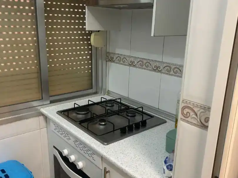 Kitchen of Flat for rent in Centro