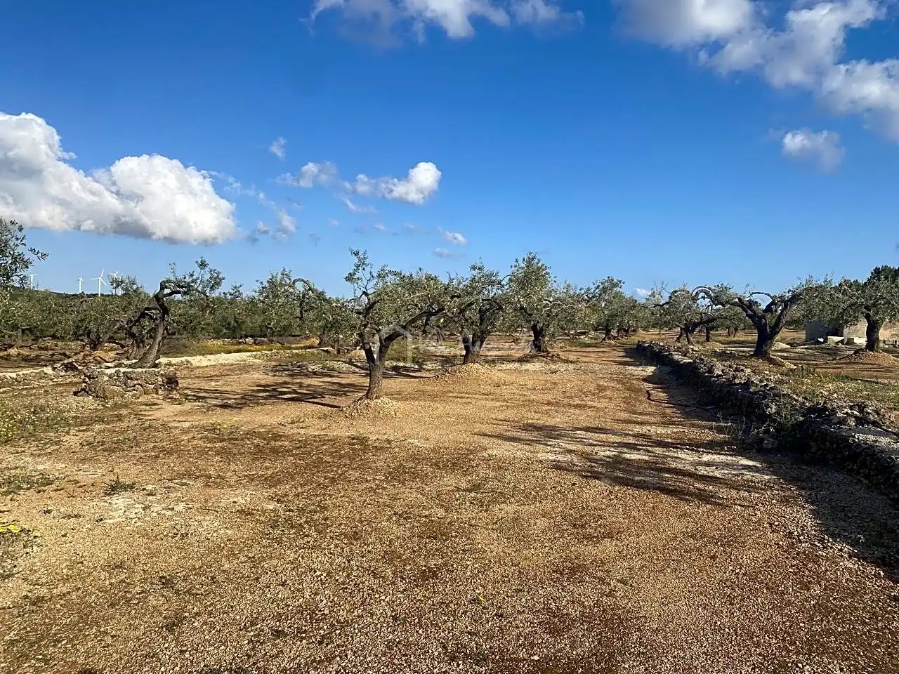 Terreno rustico in vendita a Burgà, imagen 12