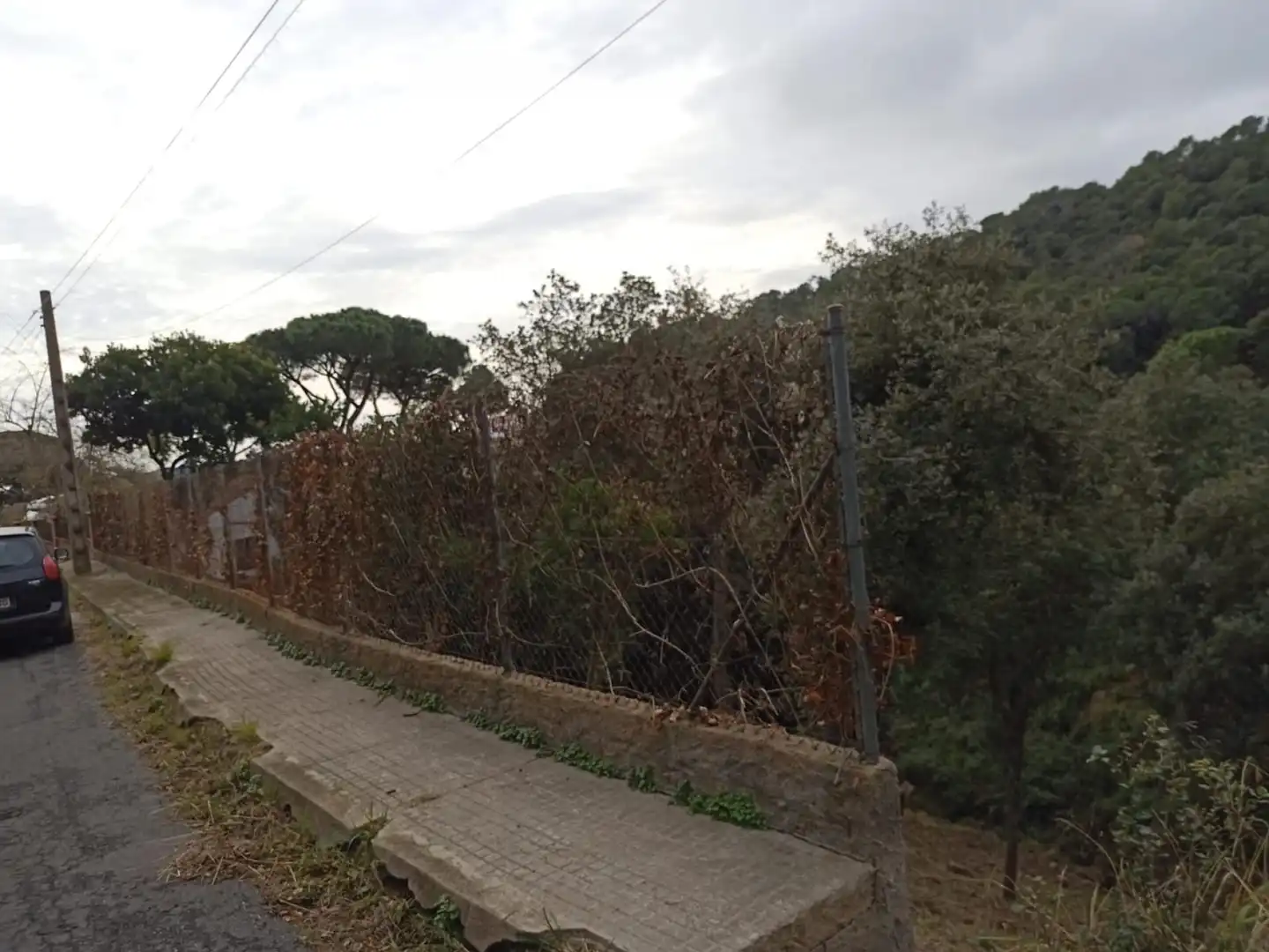 Wohnbaugrundstück zum Verkauf in Morera 2, imagen 4