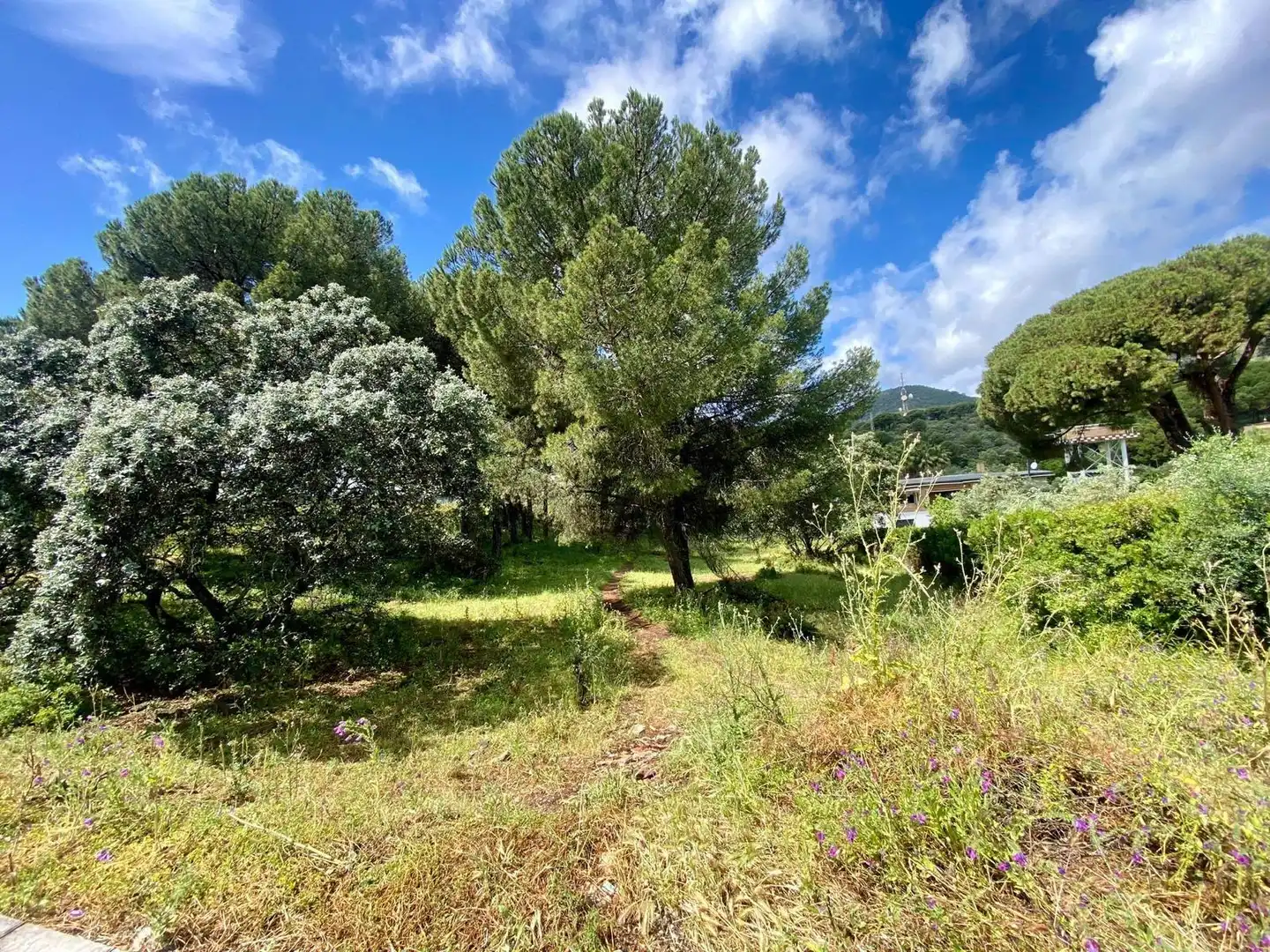 Residential land for sale in Periurbano Norte