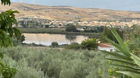 Parcela de recreo con vistas a la laguna, acceso asfaltado hasta la finca, agua, luz, casa aperos., immagine 5