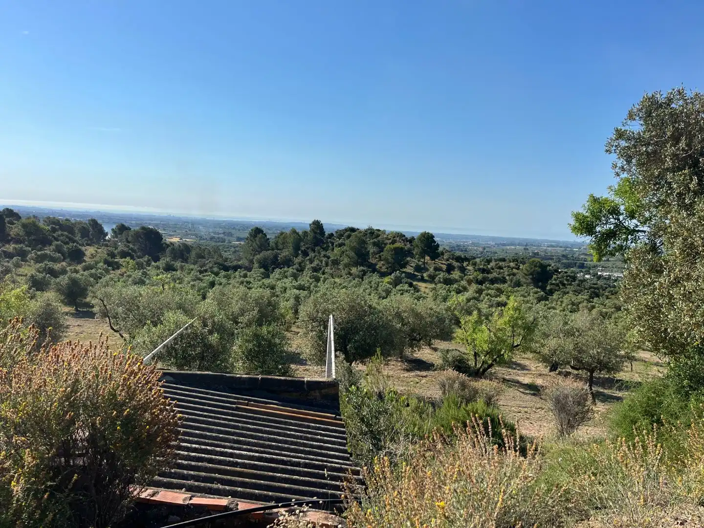 Rural land for sale in Carrer dels Jocs Olímpics 1, imagen 12