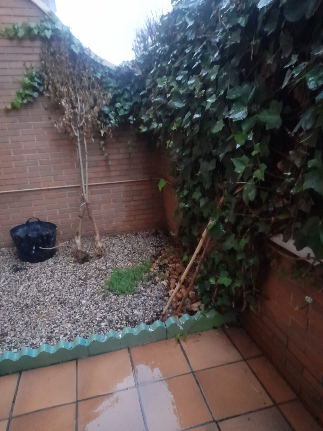 Jardí de Casa adosada en venda en  Albacete Capital amb Aire condicionat, Calefacció i Parquet