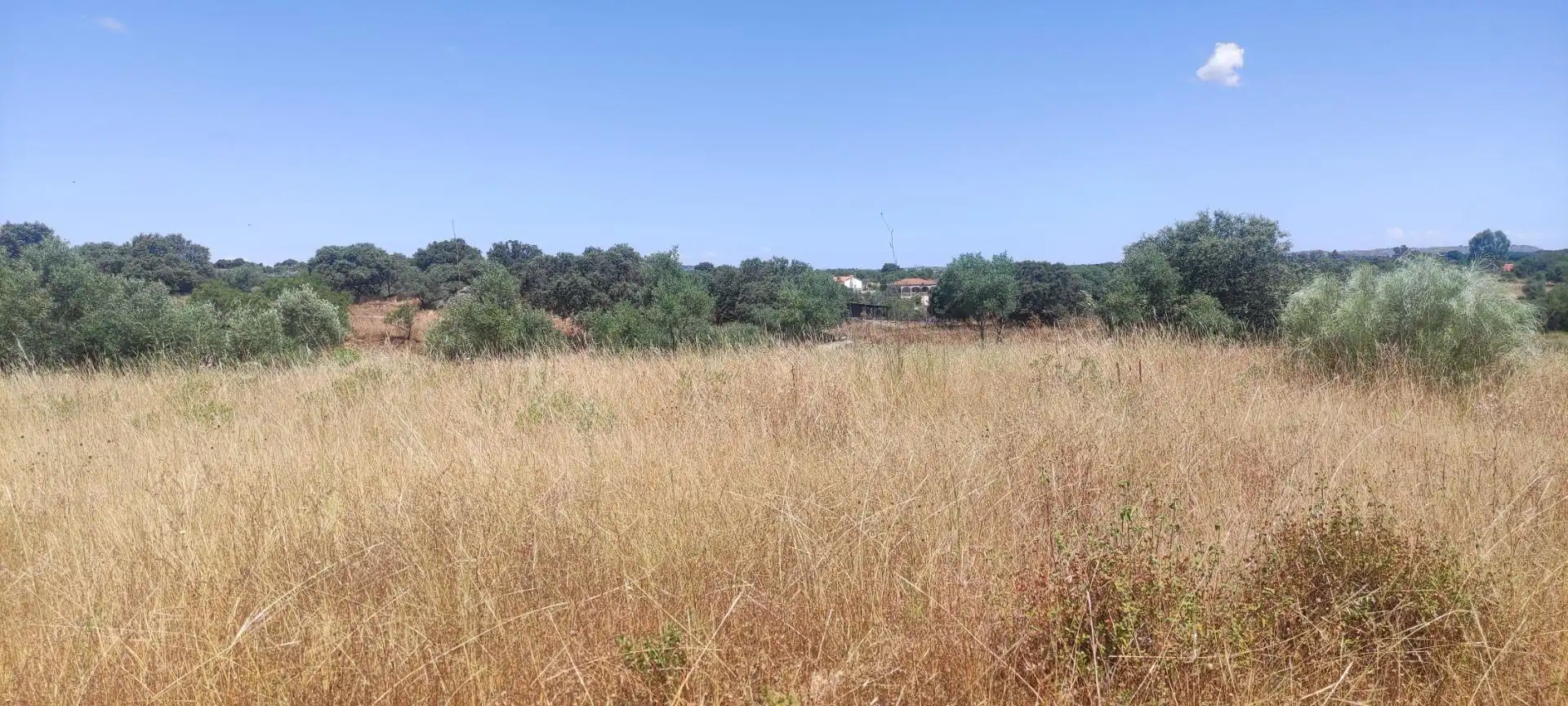 Terreni e lotti in vendita a Arroyo de la Luz, imagen 4