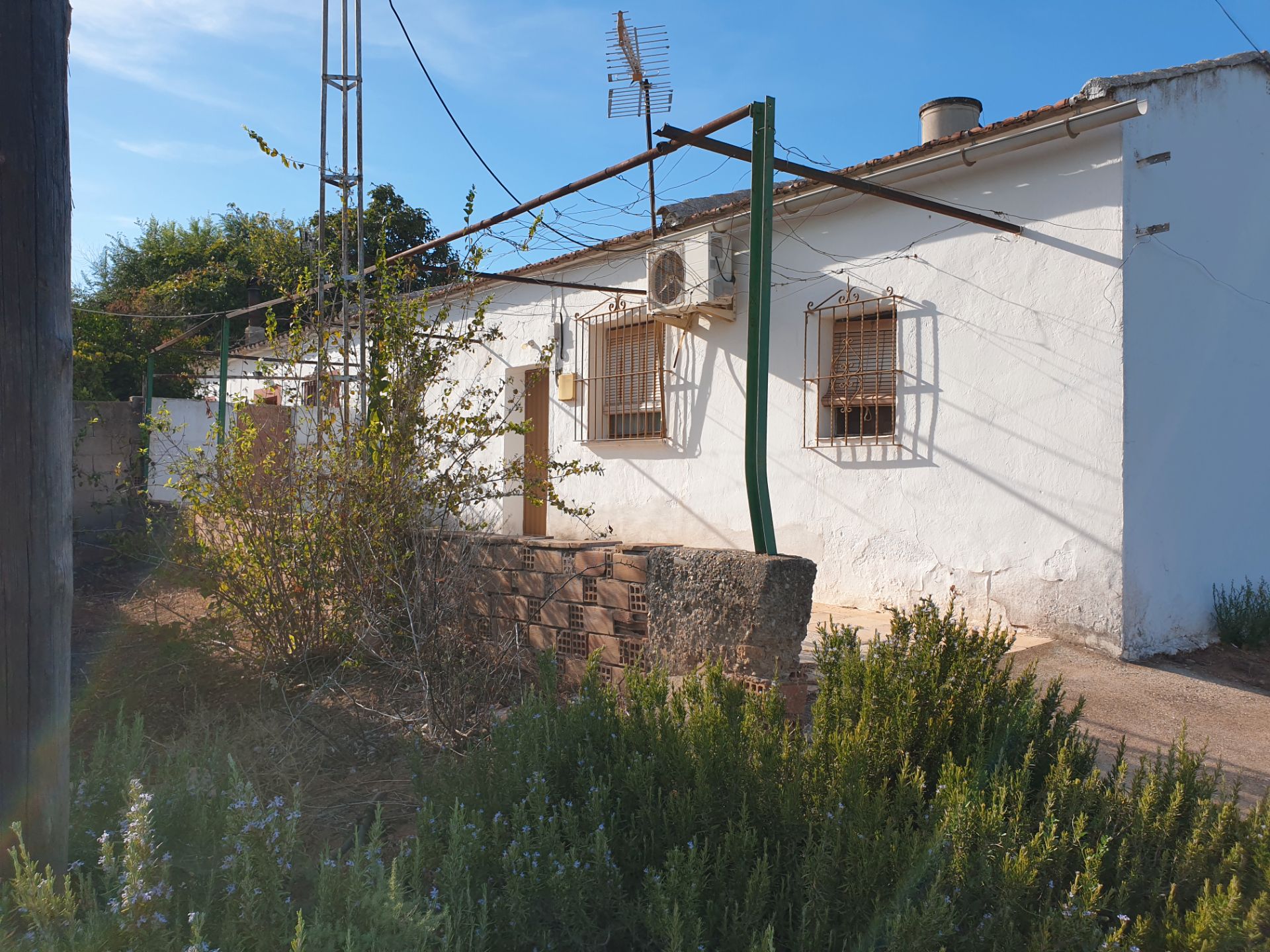 Vista exterior de Finca rústica en venda en Andújar amb Jardí privat