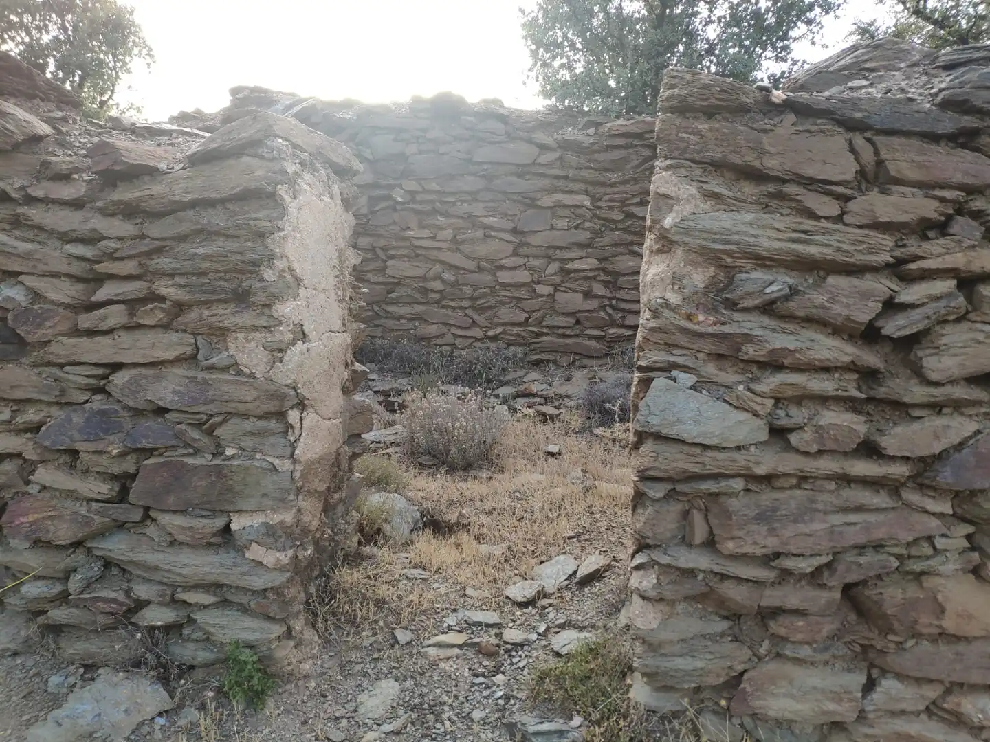 Terrain rustique à vendre à Calle Constitucion 4, imagen 2