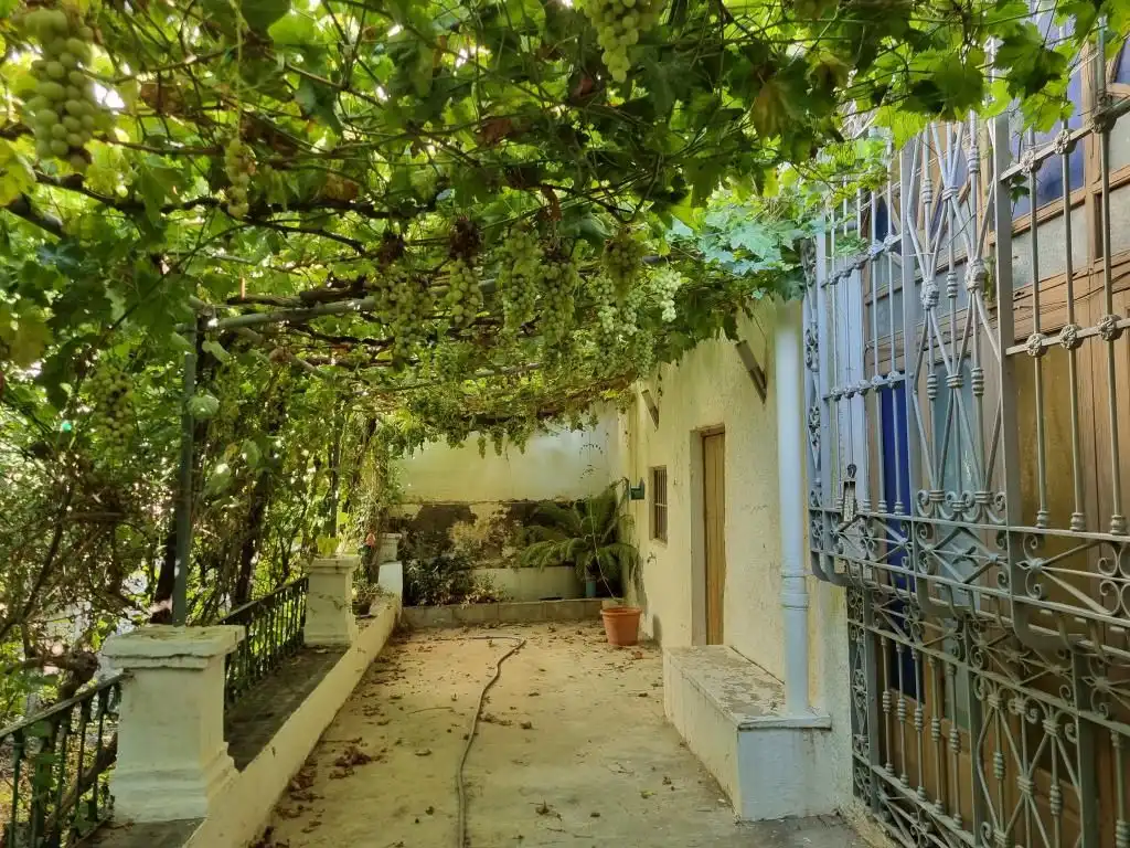 Vista exterior de Casa o chalet en venta en Alhama de Almería con Jardín privado, Terraza y Piscina