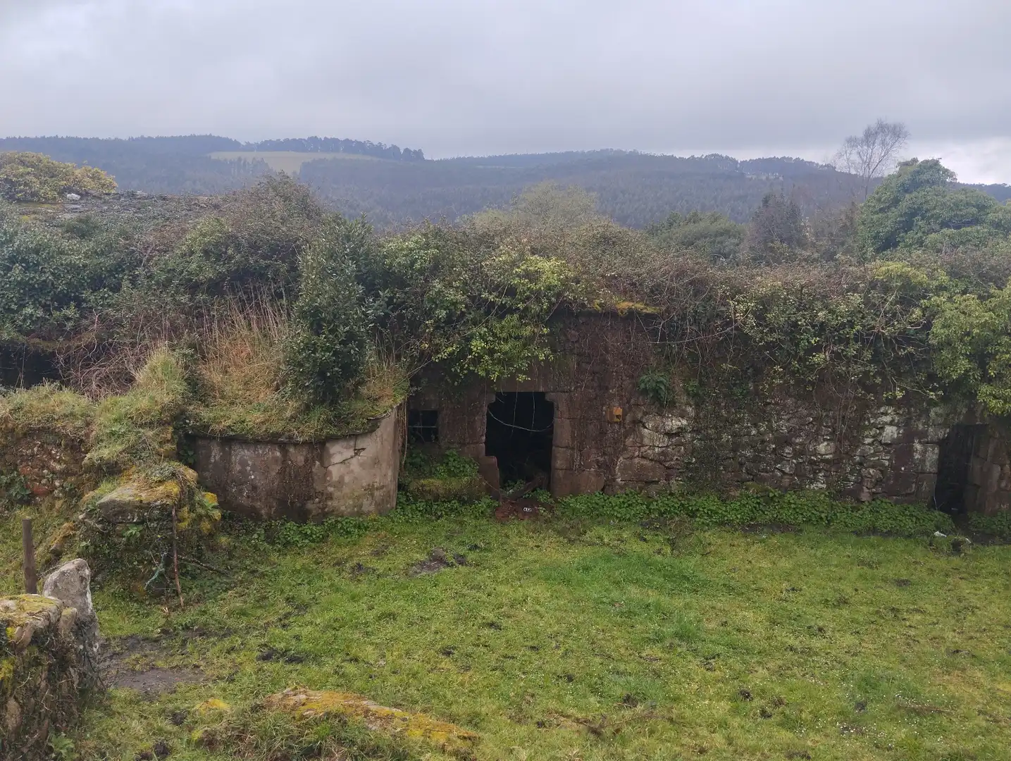 Vista exterior de Casa o chalet en venta en Viveiro