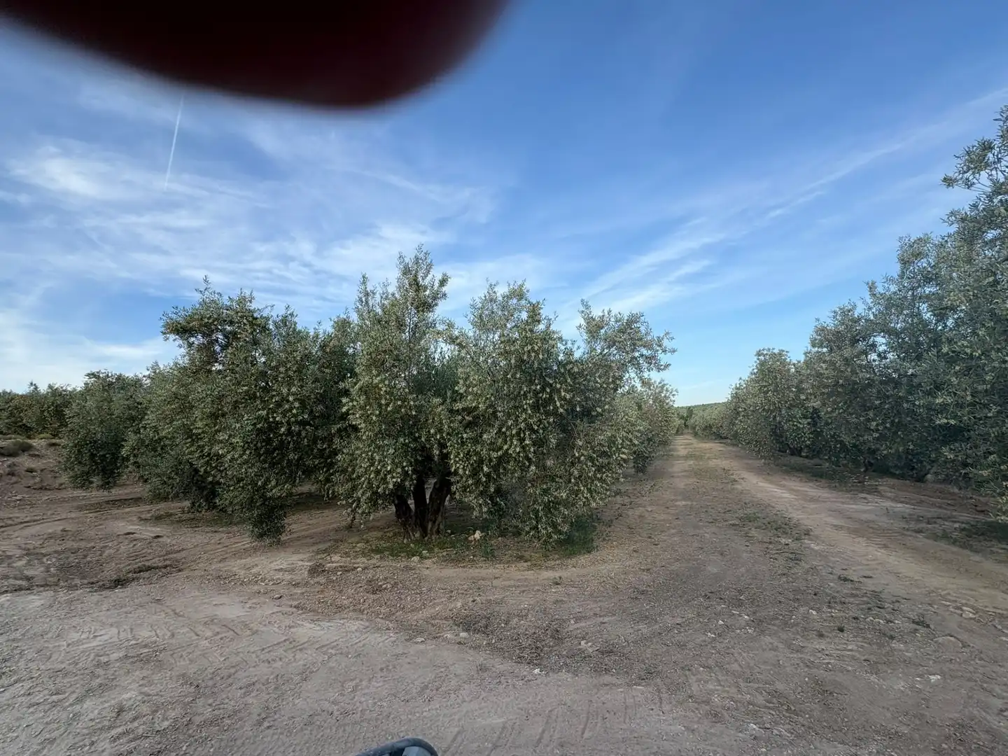 Terrenys i solars en venda a Cuevas del Campo, imagen 3