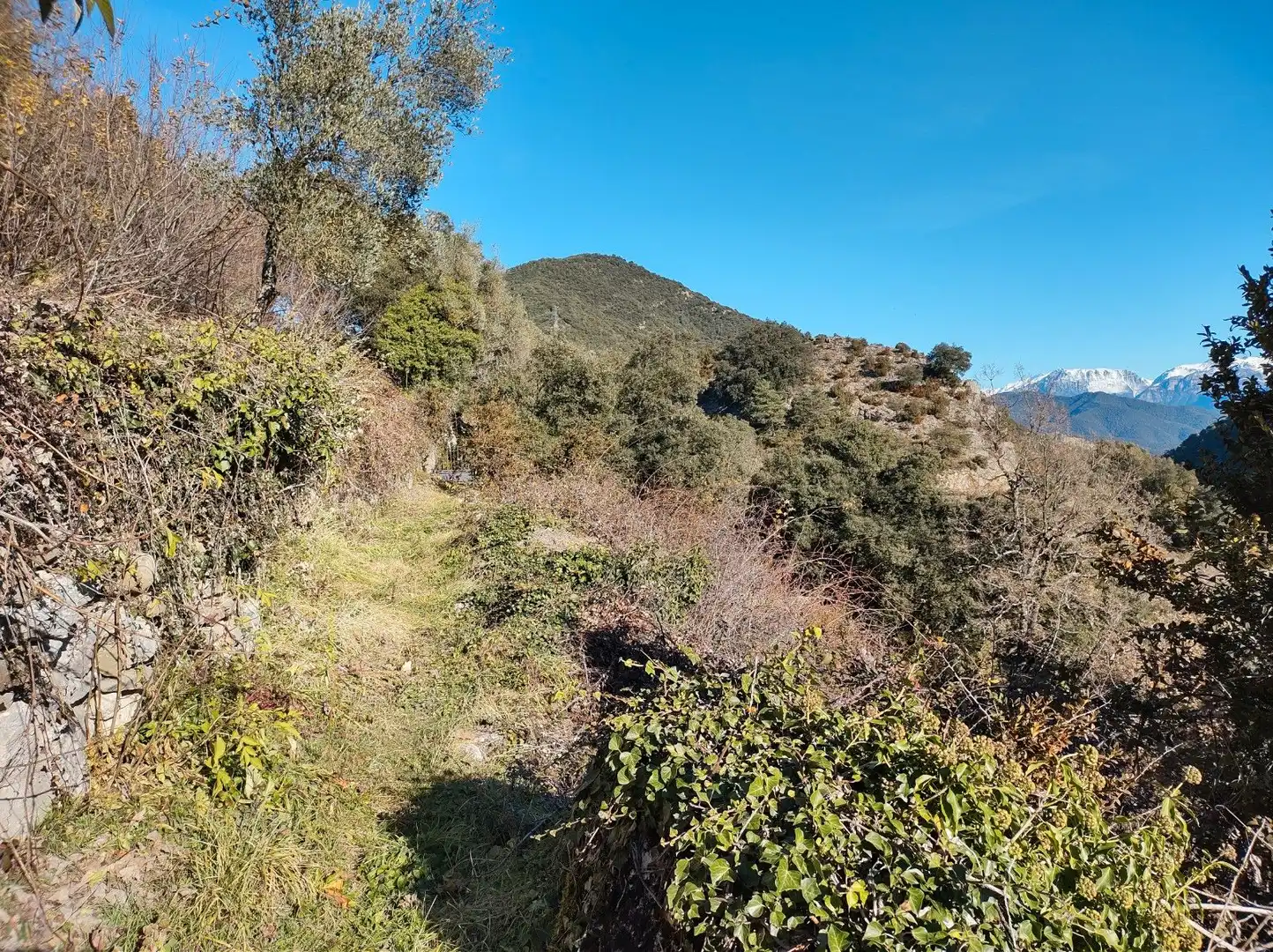 Casa o chalet en venta en San Miguel del Cinca