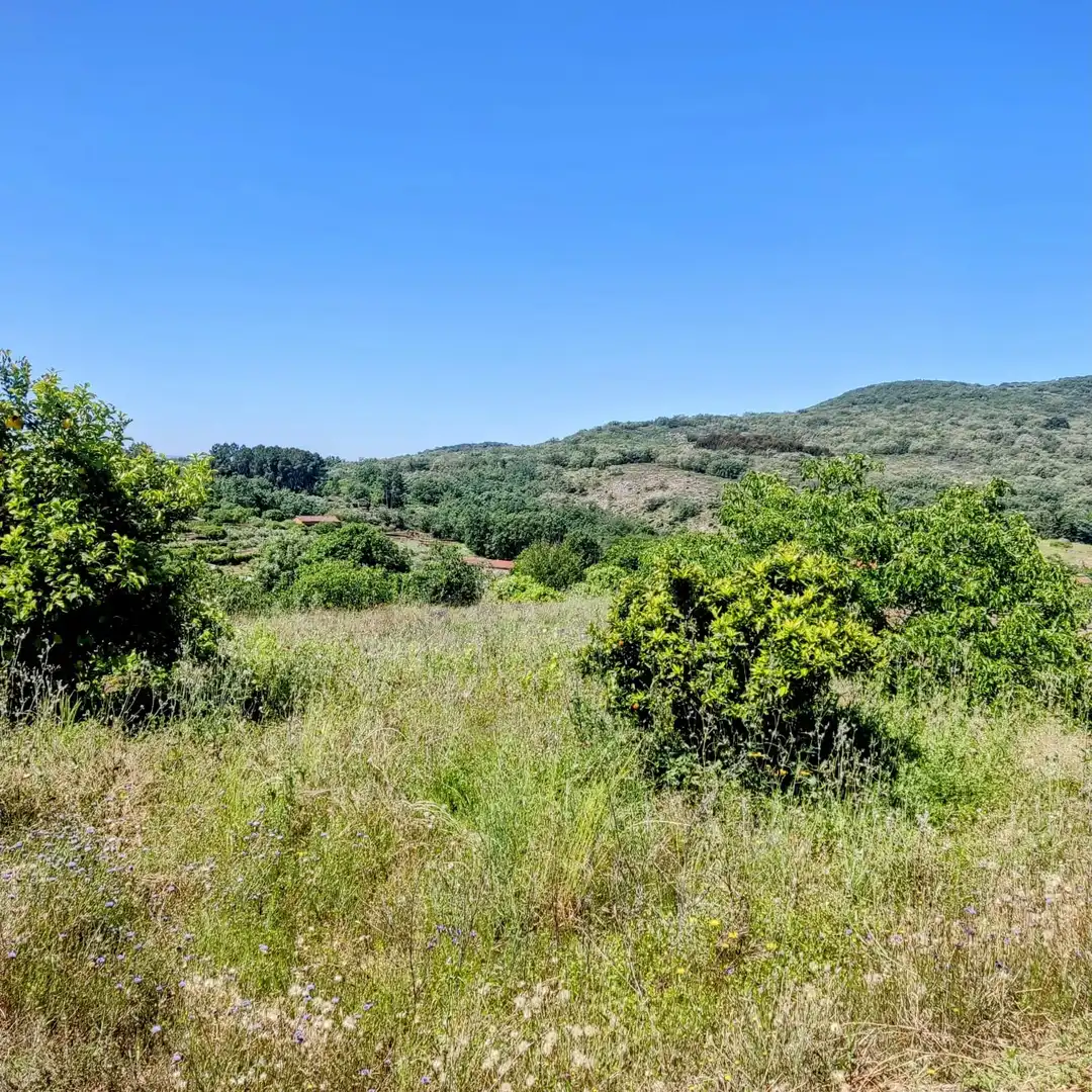 Terreni e lotti in vendita a Jarandilla de la Vera, imagen 11