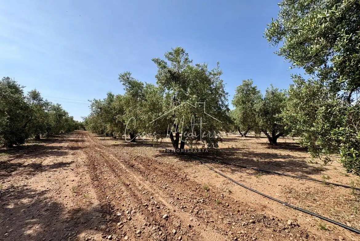 Finca rústica en venda en Mont-roig del Camp amb Aire condicionat, Calefacció i Jardí privat