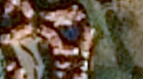 Foto 3 de Pis en venda a Playas de Fornells, Es Mercadal