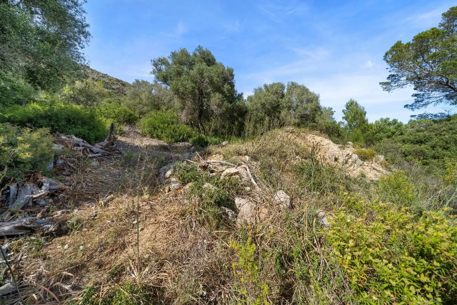 Terreny residencial en venda a Ciutat d'Alcúdia, imagen 11