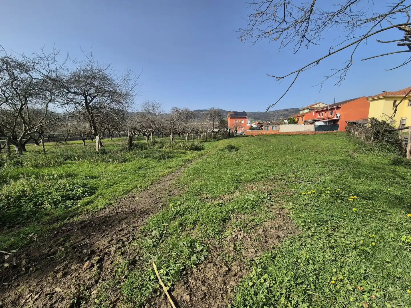 Residential land for sale in Grado, imagen 5