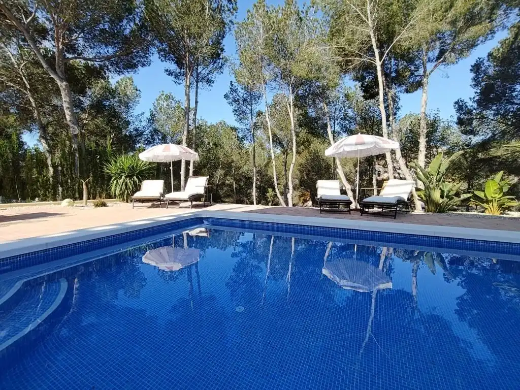 Piscina de Casa o chalet en venta en Pilar de la Horadada con Aire acondicionado, Calefacción y Jardín privado