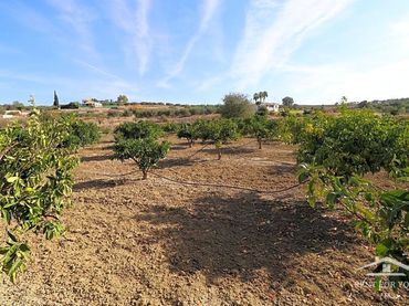 Terreno rustico in vendita a Centro
